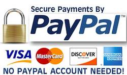 PayPal_Payments