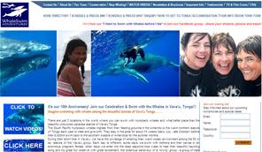 whale_swim.jpg